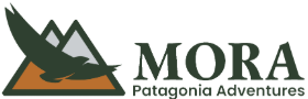 Logo Mora Patagonia